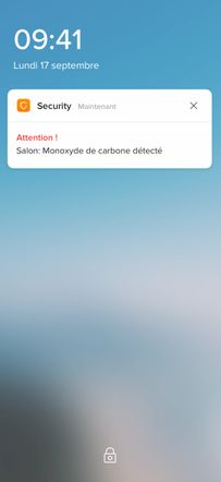 Netatmo Détecteur De Monoxyde De Carbone Intelligent - WiFi 2.4GHz, 10 Ans Batterie, Alarme 85dB, Certifié EN 50291