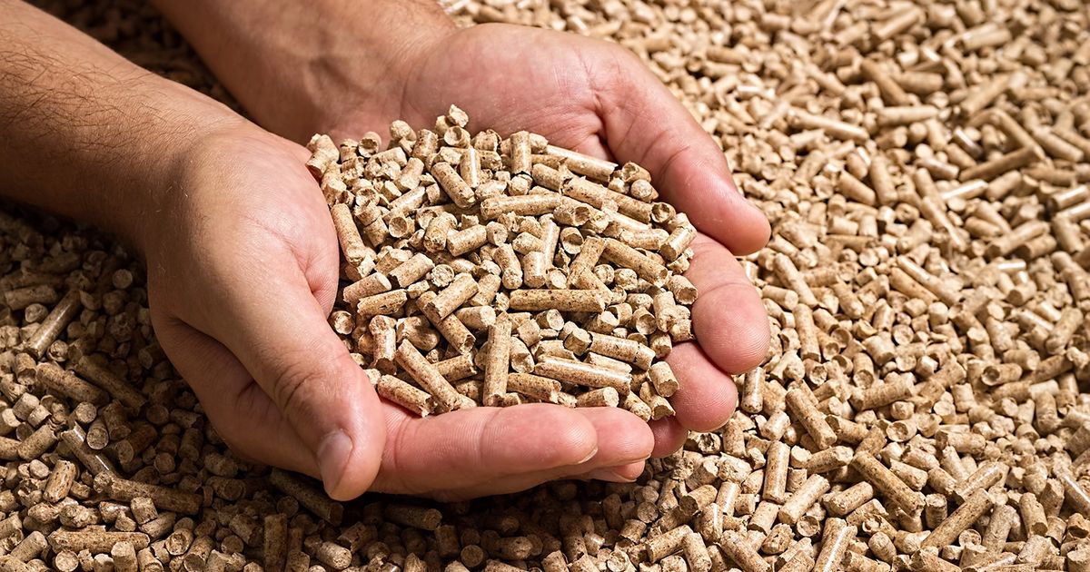 What is a wood pellet boiler?