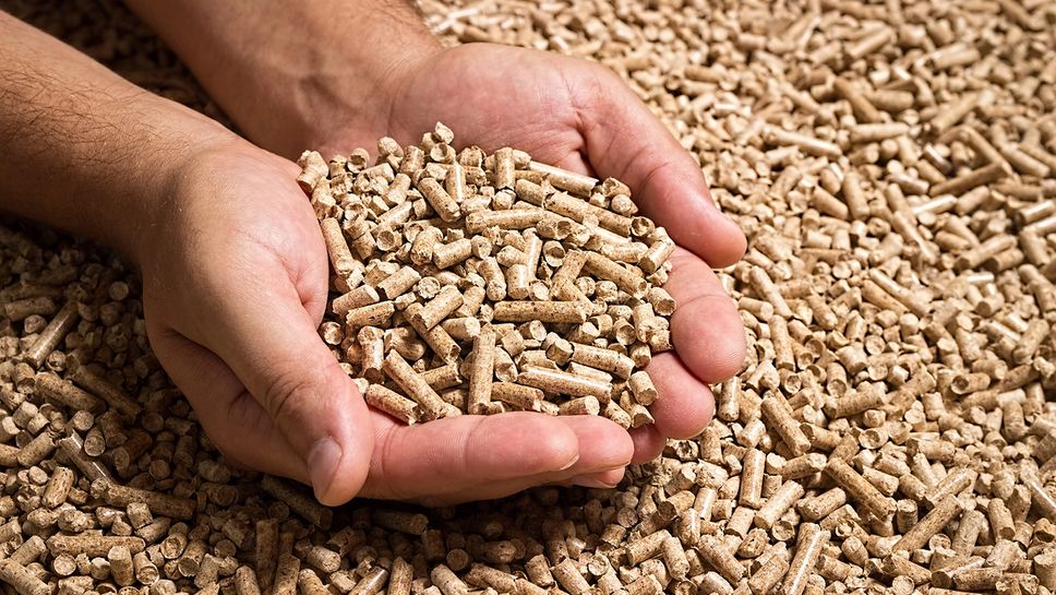 Cómo sabemos si el pellet es de buena calidad? Consejos para comprar pellet  - Haverland