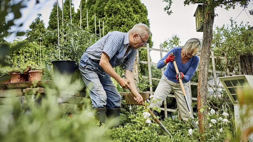 Frigobloc Jardinez Avec La Lune - Chaque Semaine, Les Travaux Du Jardin !  Avec Un Criterium