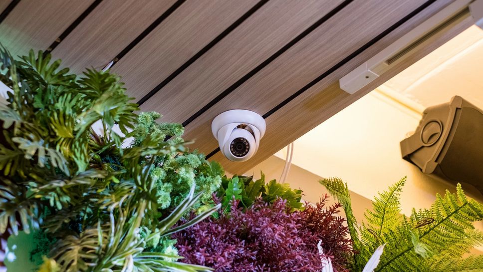 Guardian of Connectivity: Home Wireless Security System