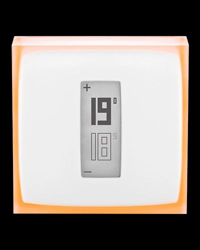 Netatmo thermostat cheap google assistant